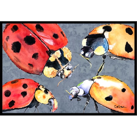 Carolines Treasures 24 x 36 in. Lady Bug Multiple Indoor Or Outdoor Doormat 8876JMAT
